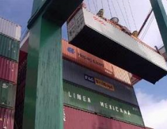 Services on organization of import
