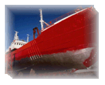 Services on organization of import